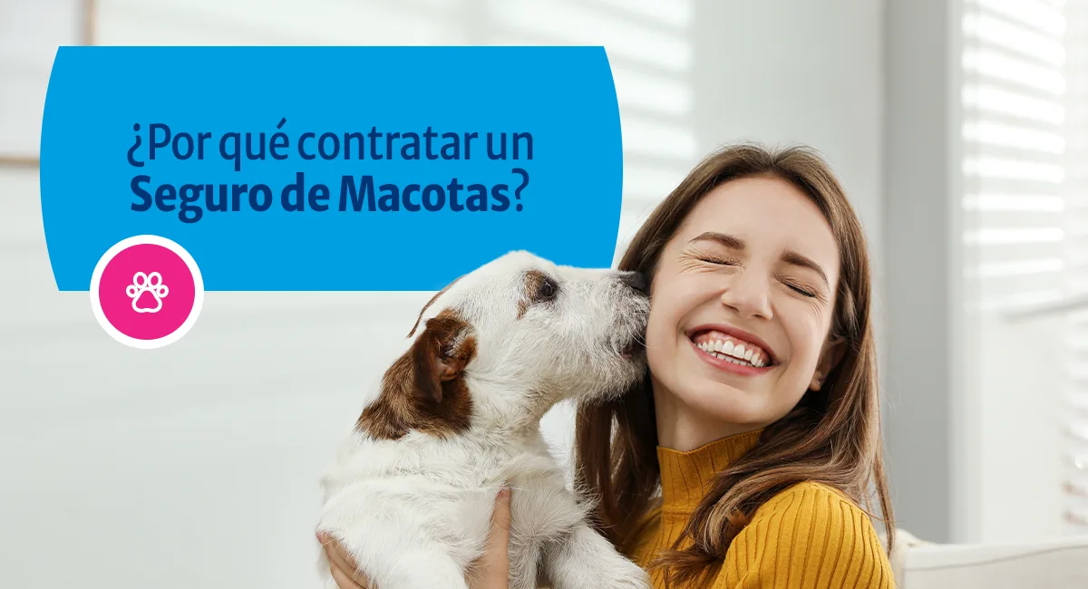 ¿Por qué contratar un Seguro de Mascotas?